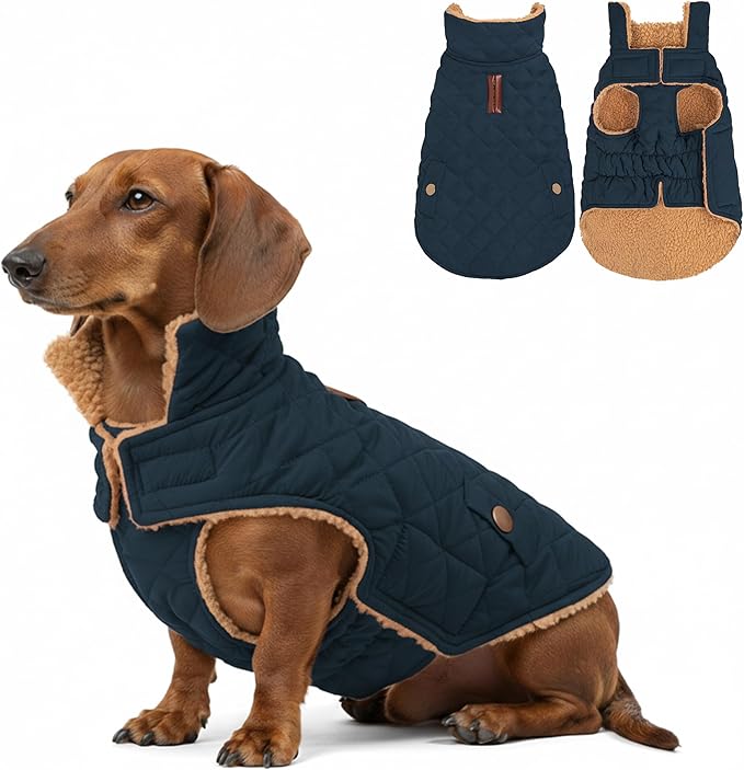 azuza Dog Jacket Waterproof & Windproof Dog Coat for Small Dogs with Thick Fleece, High Collar with Leash Hole, Adjustable Velcro & Elastic Belly, Navy, S