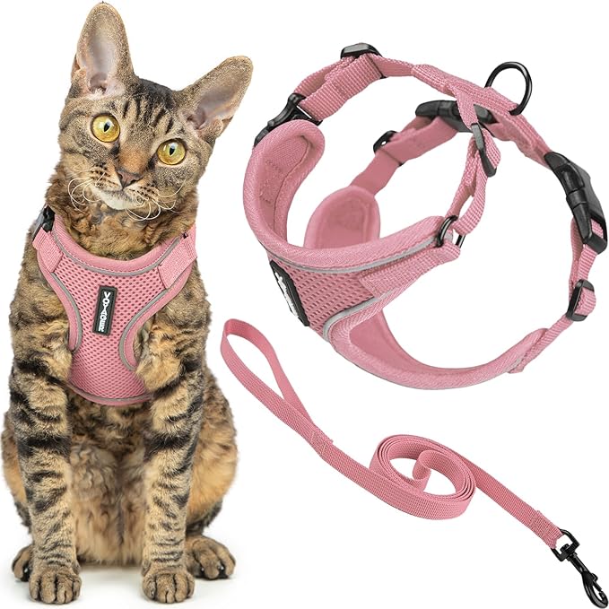 Voyager Escape Proof Cat Harness and Leash Set with Reflective Stitching, Neoprene Handle 5ft - Supports Small, Medium and Large Cats, Kittens for Walking by Best Pet Supplies - Pink, XS