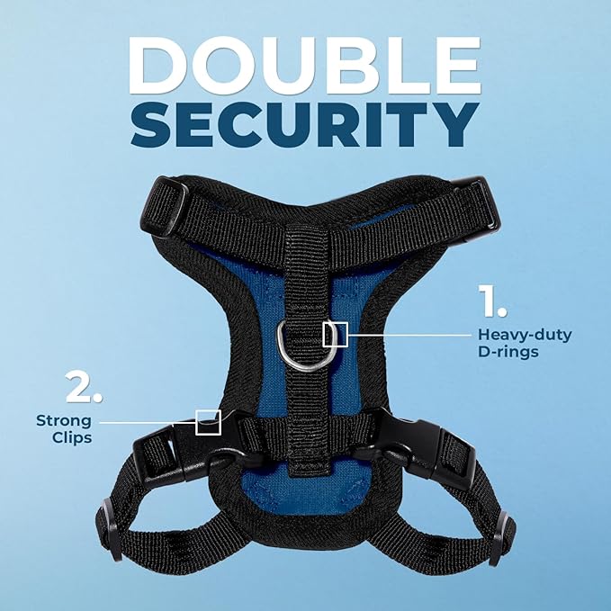 Voyager Step-in Lock Adjustable Cat Harness w. Cat Leash Combo Set with Neoprene Handle 5ft - Supports Small, Medium and Large Breed Cats by Best Pet Supplies - Royal Blue/Black Trim, XXXS