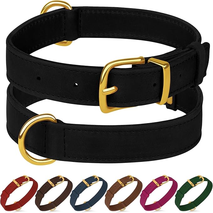Leather Dog Collar - Heavy Duty Adjustable Soft Padded Pet Collars for Small Medium Large Dogs Breed - Black Green Brown Pink Red Blue (Black, M, 12"-15" Neck Fit)