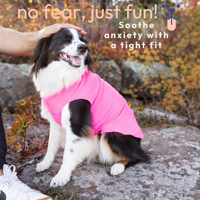 Goldpaw Stretchy Fleece Jacket for Small Dogs - Super Soft, Warm Dog Sweater - Pet Sweater Vest for Fall and Winter - Canine Clothes Made in The USA - Machine Washable - Rose - Size 26