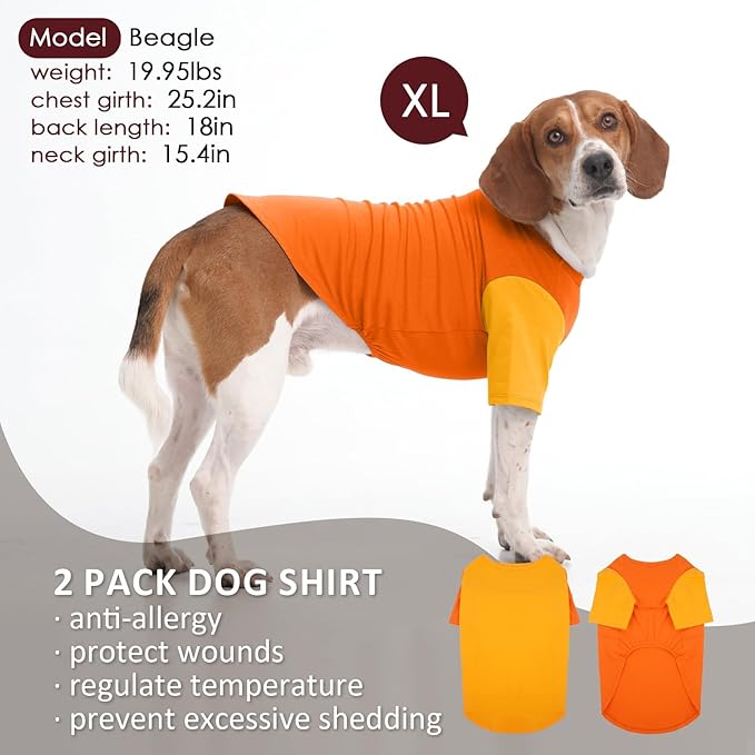 2 Pack Dog Shirt for Medium Dogs - Soft Breathable Summer Cool Tee, Lightweight Comfortable Clothes for Sensitive Skin, Jack Russell, Shihtzu, Indoor Lounging, Walking, Park Play, Orange