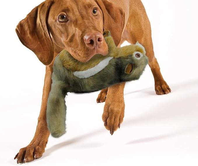 ALL FOR PAWS Squirrel Squeaky Doy Toy, Squirrel Dog Toy for Medium Large Breed, Puppy Fetch Toy with Squeaker, Plush Chew Dog Toy, 13.8 x 3.9 x 4.1inches, Chipmunk-L