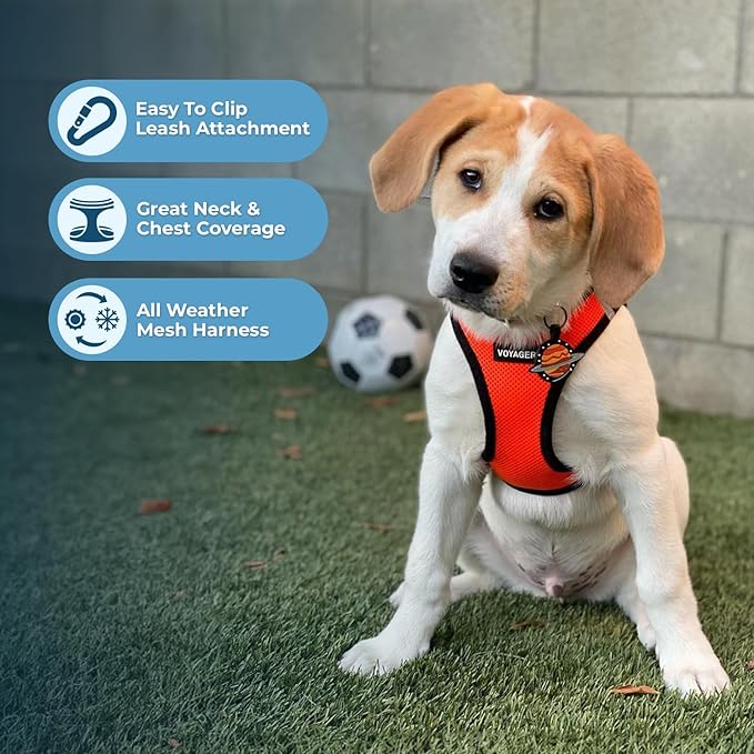 Best Pet Supplies Voyager Step-in Air Harness - All Weather Mesh, Reflective, No Pull Harness for Dogs, Cats - Secure with Hook & Loop Fastener, Buckle, Double D-Rings - Orange/Black Trim, L