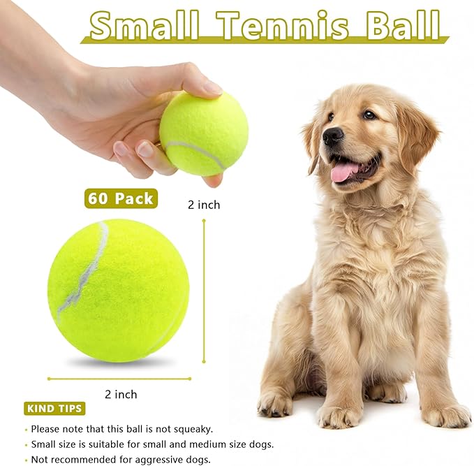 Magicorange Small Tennis Balls, 60 Pack 2 inch Tennis Balls for Dogs, Colorful Easy Catching Pet Dog Playing Ball (Yellow)