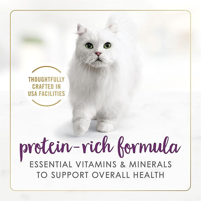 Purina Fancy Feast Senior Wet Cat Food 7 Years Plus Beef Feast Pate - (Pack of 24) 3 oz. Cans