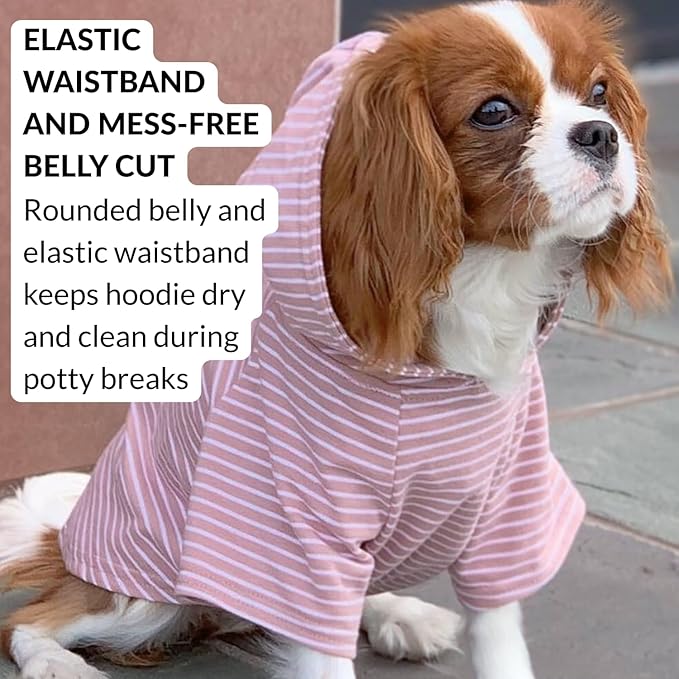 DJANGO Dog Hoodie – Warm, Lightweight, Soft & Stretchy Dog Sweater with Hood, Harness Hole & Elastic Waistband – Cozy Sweatshirt for Small Dogs up to 25 lbs, Dachshunds & Puppies – Blush Pink, X-Small