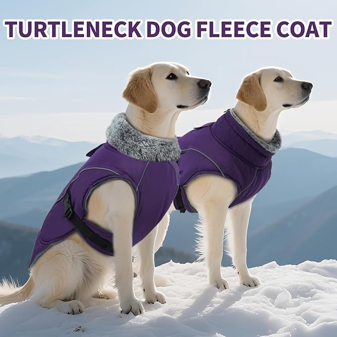 DENTRUN Medium Dog Winter Jacket - Warm Reflective Windproof Coat, Adjustable Neck & Snap Closure, Water Repellent Thick Fleece Vest, Fleece Lined for Beagle Pug, Purple, M