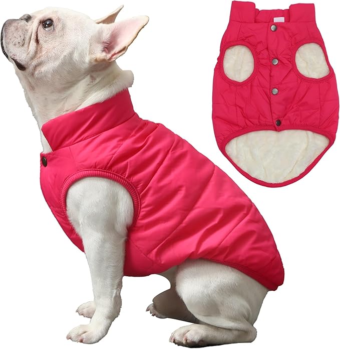 2 Layers Fleece Lined Warm Dog Jacket for Puppy Winter Cold Weather,Soft Windproof Small Dog Coat,Pink M