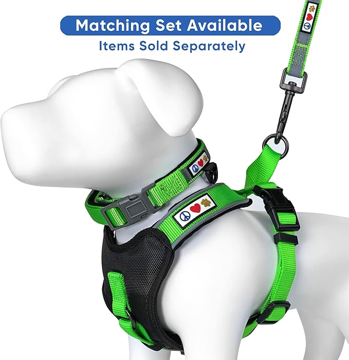 Pawtitas Personalized Dog Leash Embroidered Customize Your Pet Name & Phone Number Puppy Reflective 6 ft Long Small Green Custom Tag Name, Green Reflective 🔦 Padded