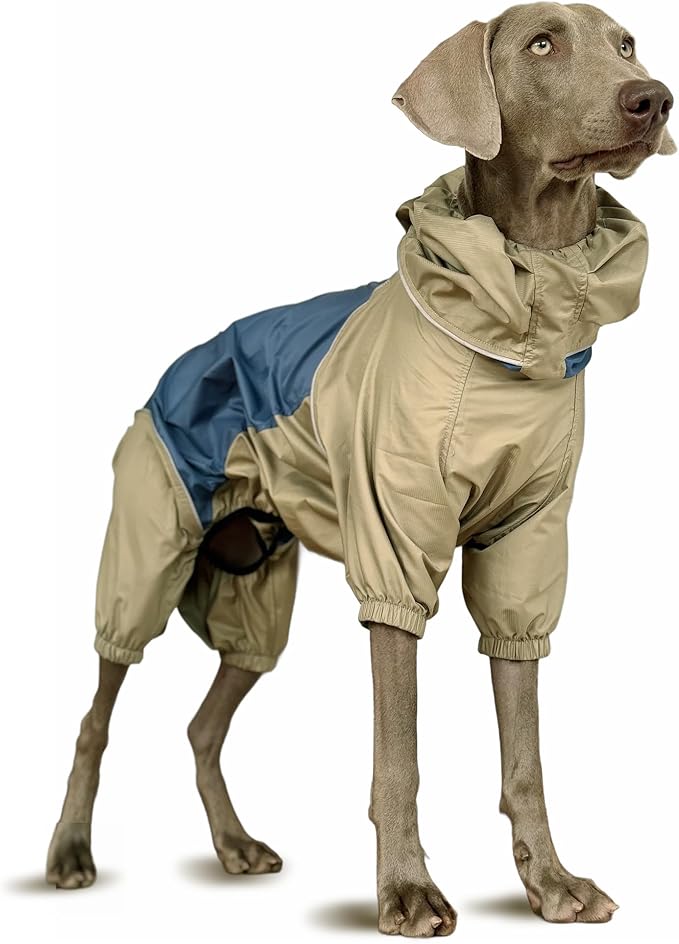 Dog Lightweight Windbreaker, Pet Outdoor Sports Jacket, 0.5 lbs,3 in One, Hooded, Easy on/Off with Collar and Harness, Reflective Piping, Packable, Dog Hiking/Camping, Navy Blue (XX-Large)