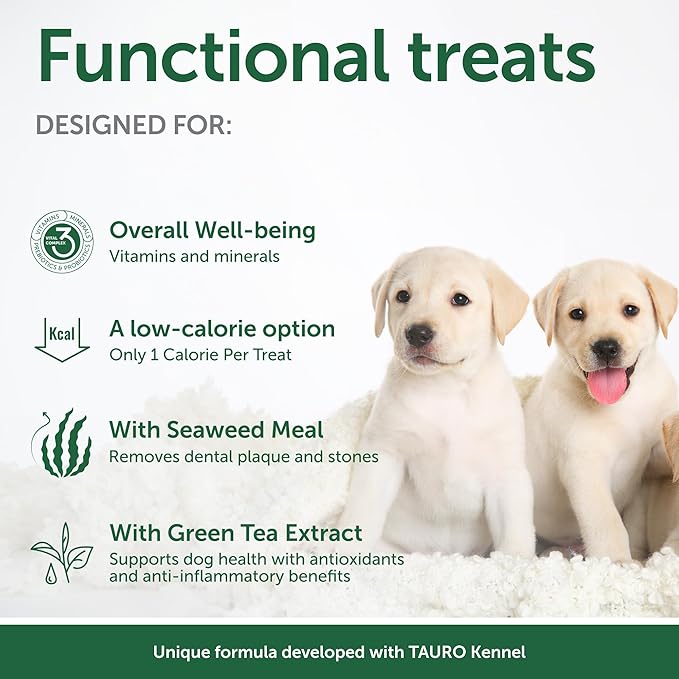 Nature's Protection Training Puppy Treats - Healthy, Grain Free Dog Treats for Small, Medium & Large Breed Dogs with Light Fur (Superior Care - Insects, 5.29 oz)