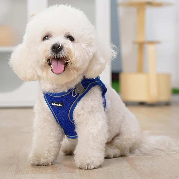 AIITLE Escape Proof Dog Harness - Step in Adjustable Dog Harness No Choke Over with Breathable Mesh and Quick-Release Buckle for Summer- Outdoor Walking, Camping for Medium Dogs Royal Blue XL