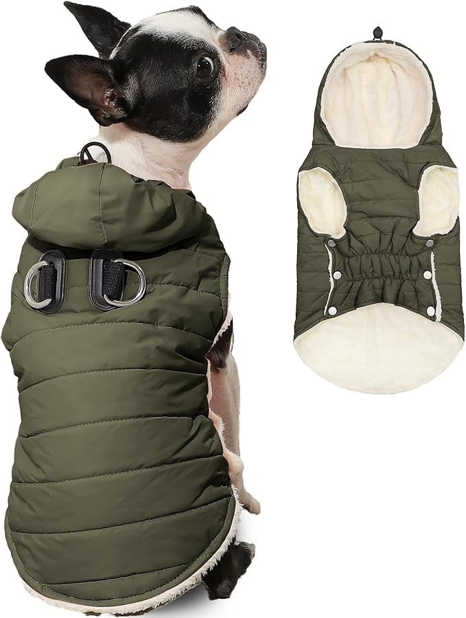 Fleece Lining Dog Hoodie with Harness Built in,Extra Warm Small Dog Jacket in Winter Puppy Coats with Drawstring Hooded,Green M