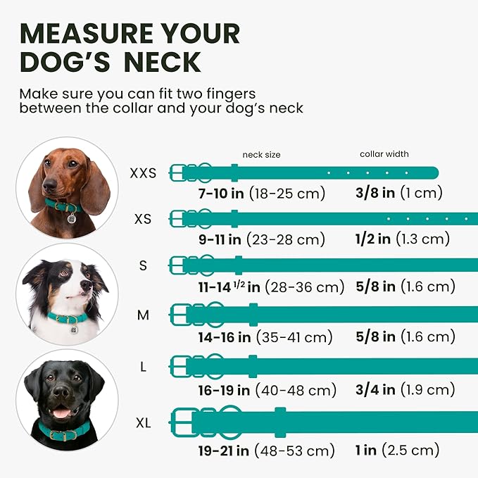 BronzeDog Rolled Leather Dog Collar with QR ID Tag, Adjustable Soft Round Collars for Small Medium Large Dogs Puppy (7" - 10" Neck Size, Turquoise)