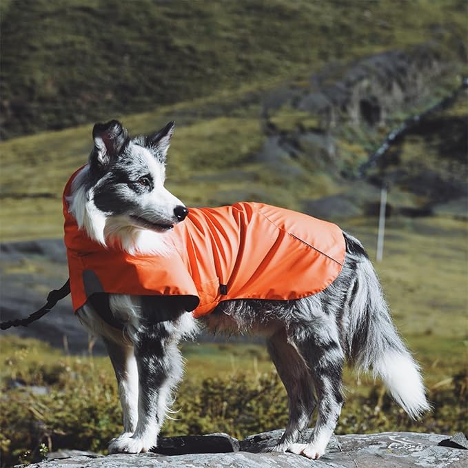 Dog Water-Repellent Raincoat Jacket, Lightweight Reflective Waterproof Clothes for Small Medium Large Dogs, Outdoor for Fall & Spring (Yellow, XL)