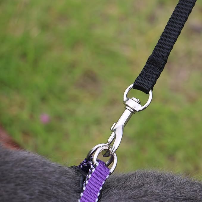 AMAGOOD 6 FT Cat Leash, Strong and Durable Traditional Style Leash with Easy to Use Collar Hook,Cat Lead Great for Cats (3/8 in x 6 ft,Black and Orange(2-Pack))