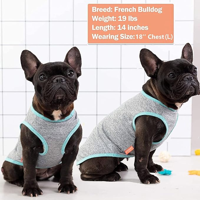 KYEESE 2 Pack Dog Shirts Quick Dry Soft Stretchy Sun Protection Pet T-Shirts with Reflective Label Tank Top Sleeveless Vest Dog Clothes for Small Medium Dogs, X-Large, Grey+Blue