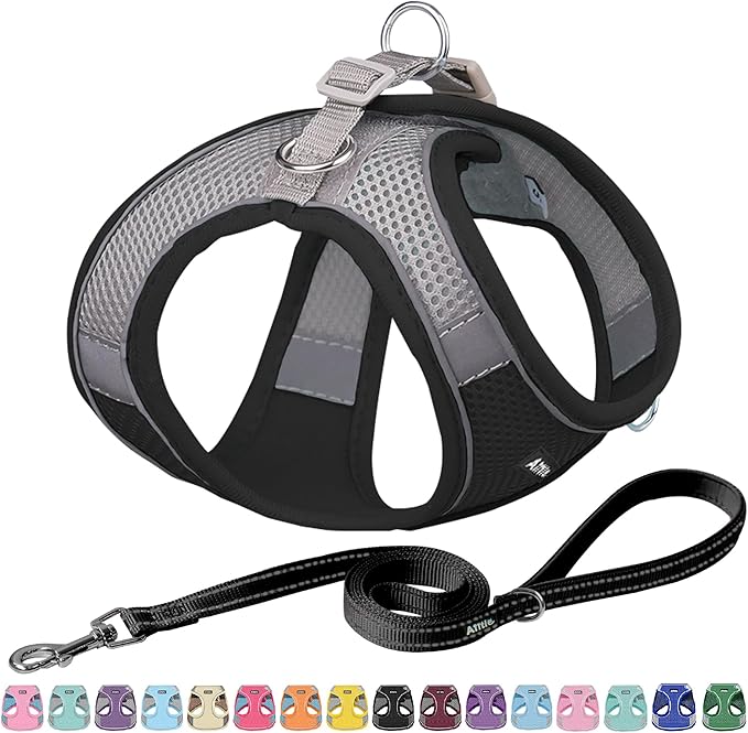 AIITLE Dog Harness, Summer No-Pull Cat Harness with a Leash, Adjustable Reflective Dog Vest, Cat Harness Escape Proof, Outdoor Walking, Camping for Extra Small Dogs and House Cats Black XXXS