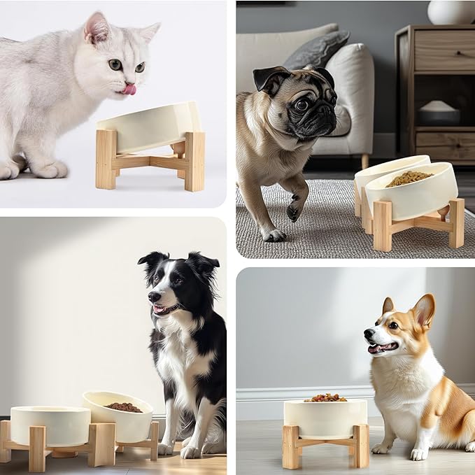 SPUNKYJUNKY 15° Slanted Ceramic Dog and Cat Bowl with Wooden Stand, Tilted Bulldog Food and Water Bowl No Slip Non-Spill for Cats Medium Dogs Big Face Pets 28.7 OZ (3.6 Cups, Beige × 2)