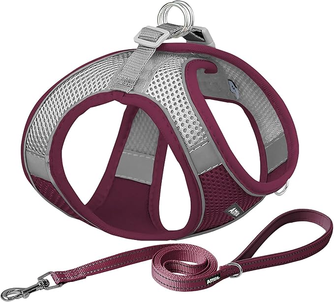 AIITLE No Pull Dog Harness and Leash Set, Step in Adjustable Dog Harness with Padded Vest for All Weather, Dog Leash with Soft Padded Handle, Easy to Put on Small and Medium Dogs Burgundy S