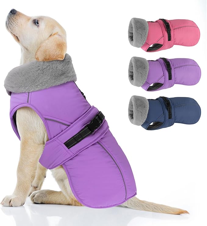 PETDSH Dog Coat Large, Windproof Dog Jacket with Warm Fleece Lining, Thickened Collar Dogs Winter Coat, Adjustable Reflective Pet Coats for Cold Weather (Purple, Large)