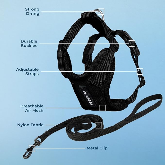 Voyager Step-in Lock Adjustable Cat Harness w. Cat Leash Combo Set with Neoprene Handle 5ft - Supports Small, Medium and Large Breed Cats by Best Pet Supplies - Black, XS