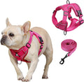 SOLMOONY Small Dog Harness,Soft Mesh Puppy Harness and Leash Set,No Escape Cat Harnesses for Training Walking,Reflective Adjustable Puppy Vest for Small Medium Dogs, Cats (Hot Pink, M)