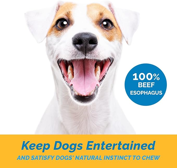 123 Treats - Esophagus Dog Treats (6 Inches - 25 Count) 100% Natural Gullet Sticks for Dogs Flat - Beef Jerky Dog Treats Strips Free of Preservatives, Hormones & Antibiotics