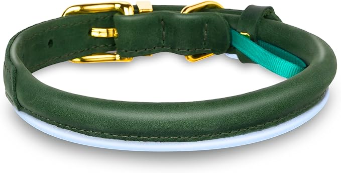 OOPSDOGGY Reflective Rolled Leather Dog Collar Adjustable Soft Padded Pet Collar for Small Medium Large Breed Dogs (Green, XXL, 20"-24")