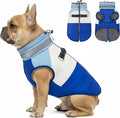 azuza Dog Jacket for Medium Dogs Waterproof Dog Coat with Reflective Strips and Harness Built in Warm Fleece Dogs Winter Coat Windproof with Back Zipper, Blue XL