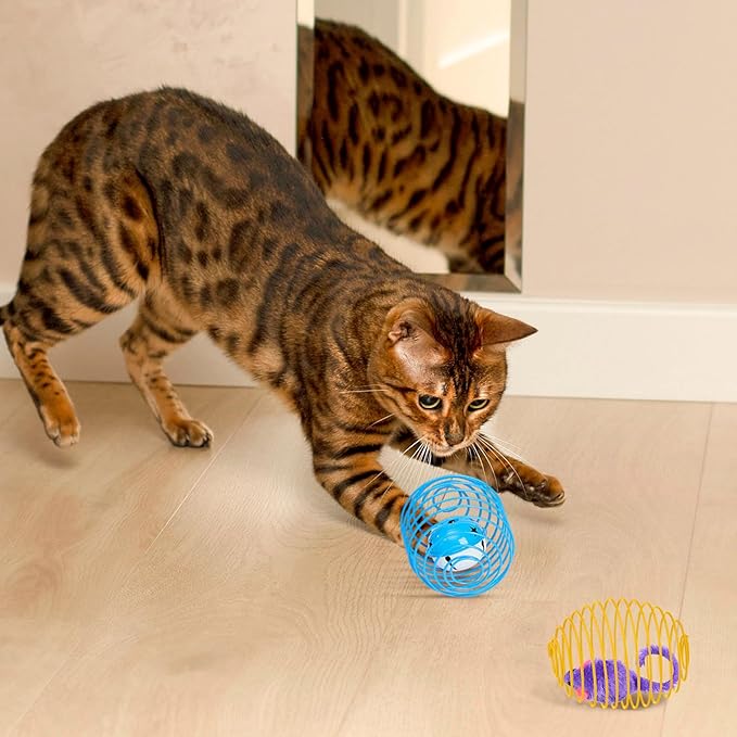 Jecery 5 Pcs Halloween Cat Spring Balls Toys Stretchable Rolling Balls Colorful Playful Coils Interactive Spring Action Toy Caged Rats for Kitten Cat Pet Supplies(Mouse and Bell,Multicolor,5 Pcs)