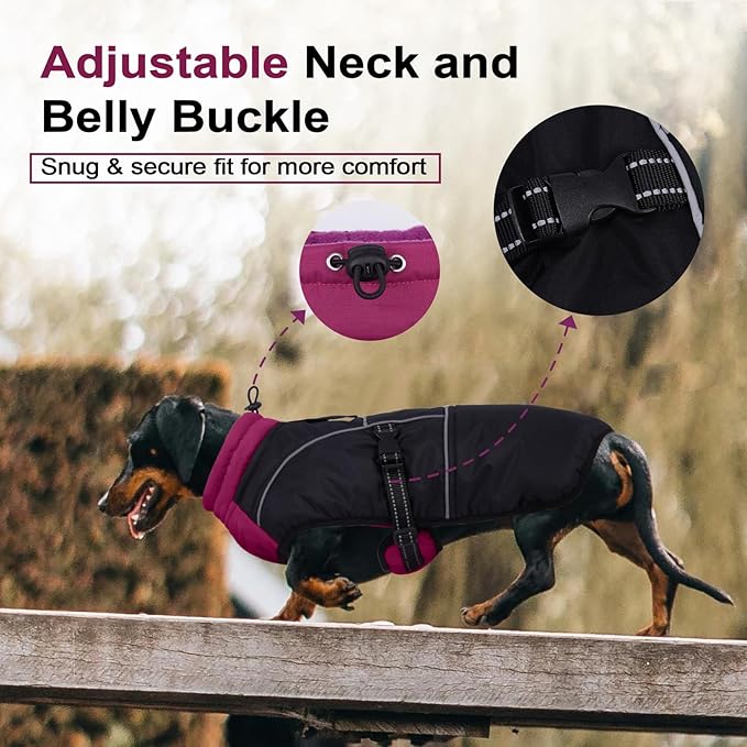Lelepet Dachshund Coat Warm Dog Winter Coat Waterproof Dog Jacket with Fleece Lining, Reflective Outdoor Dachshund Snowsuit with Leash Hole Adjustable Neckline,Coats for Small Medium Dogs,Purple, XS