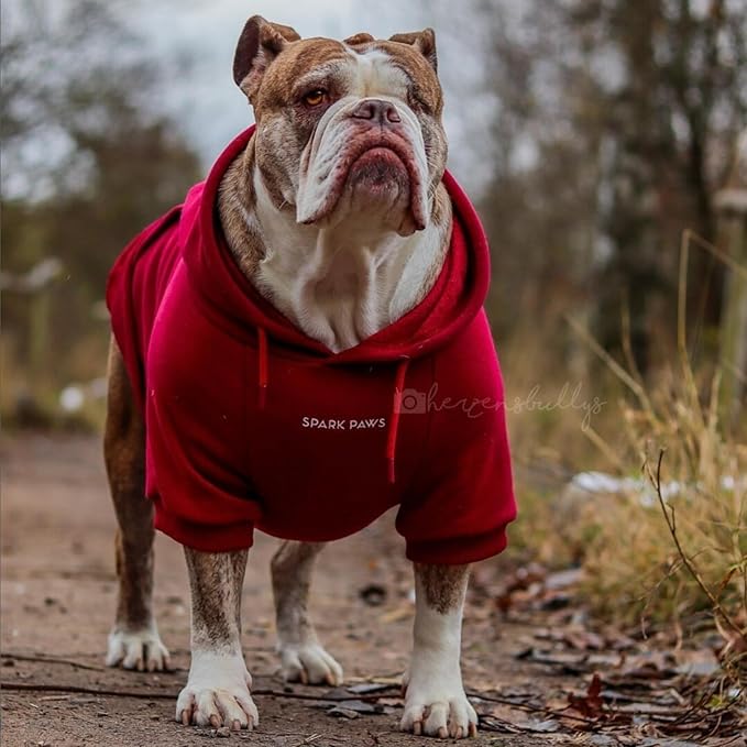 Spark Paws Dog Hoodie – Premium Dog Sweater for Small, Medium, and Large Dogs | Warm Outfits for French Bulldogs, Pitbull, Puppy, Winter Jacket Alternative - Burgundy - 2XL