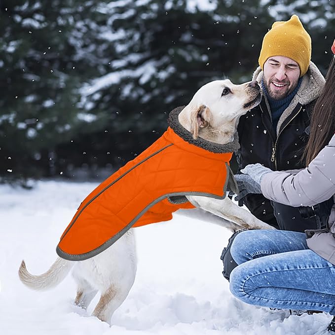 Fragralley Dog Coat Small, Waterproof Dog Jacket with Warm Fleece Lining, Adjustable Reflective Dogs Winter Coat, Turtleneck Pet Coats for Cold Weather (Orange S)
