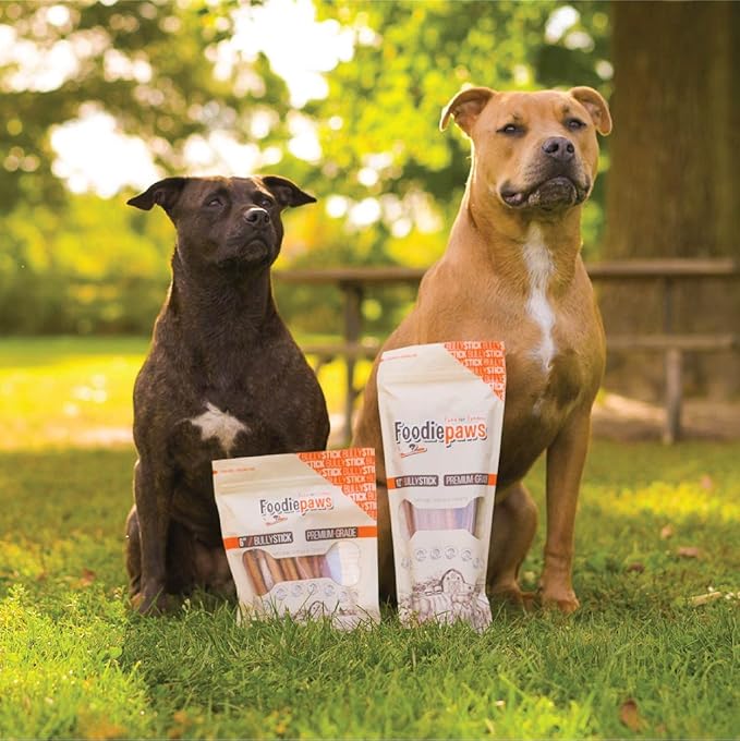 FOODIEPAWS All Natural 6 Inch Mega Bully Sticks, Odor Free | Grass-Fed Beef | Single Ingredient & Rawhide-Free | Long Lasting Dental Dog Chews | Packed in USA | for Medium & Large Dogs, 15 Pack
