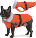 Lelepet Warm Dog Winter Coat Reflective Dog Jacket Fleece Vest Waterproof Windproof Cold Weather Coats with Adjustable Buckle Plush Turtleneck Pet Snowsuit for Small Medium Large Dogs,Chihuahua,XS