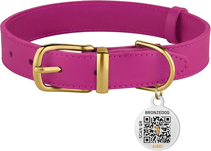 BRONZEDOG Leather Dog Collar with Metal Buckle Durable Basic Pet Collars for Small Medium Large Dogs (14-17 Inch (Pack of 1), Pink & Gold Buckle)