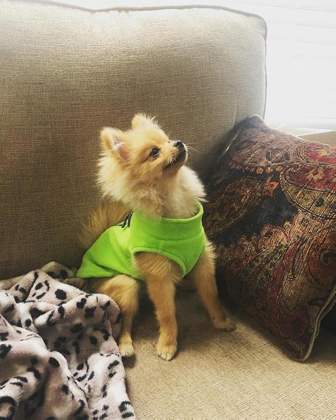 Gooby - Fleece Vest, Small Dog Pullover Fleece Jacket with Leash Ring, Lime, Small