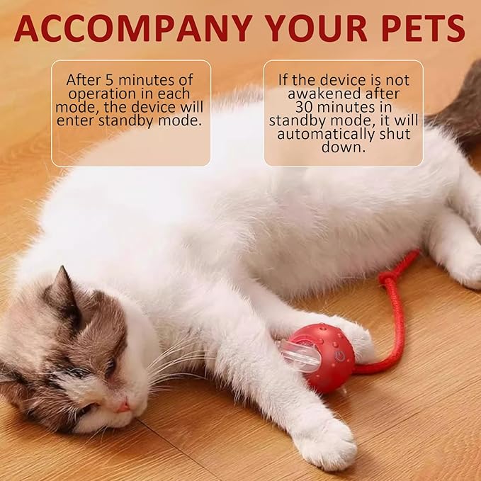 Dog Toy, 360° Rolling Interactive Ball Cat Toy with Realistic Bird Chirping Sounds, Fast Moving Balls Toys for Pets | Automatic Obstacle Avoidance, Rechargeable, Tough (Red+Blue)