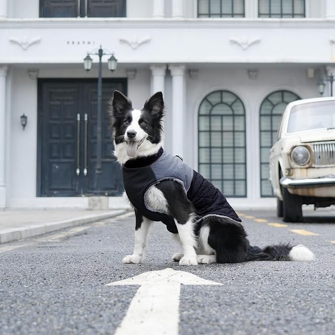 Warm Fleece Dog Coats for Medium Dogs,D-Rings Waterproof Puppy Jacket for Cold Winter,Black L