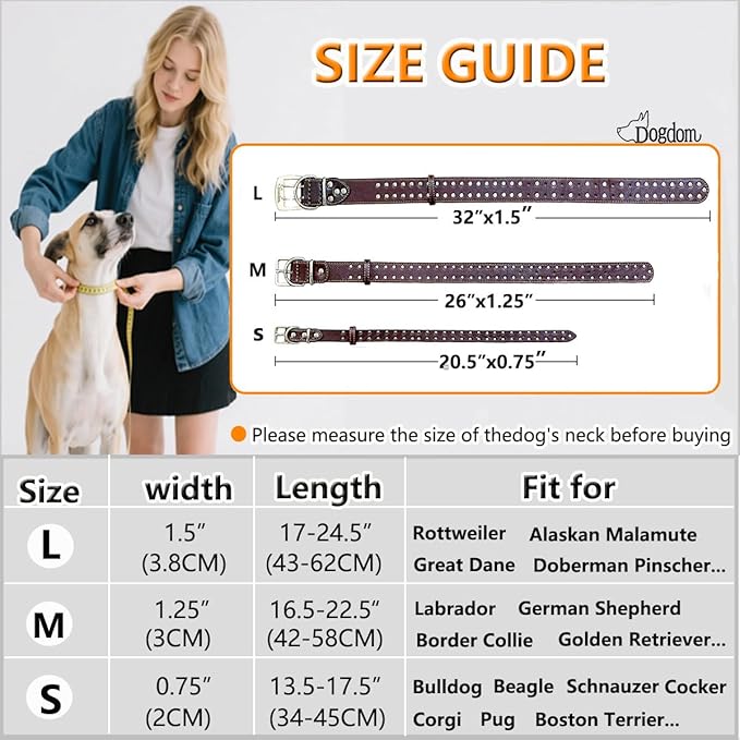 Studded Leather Dog Collar – Durable Adjustable Collar, Black Large