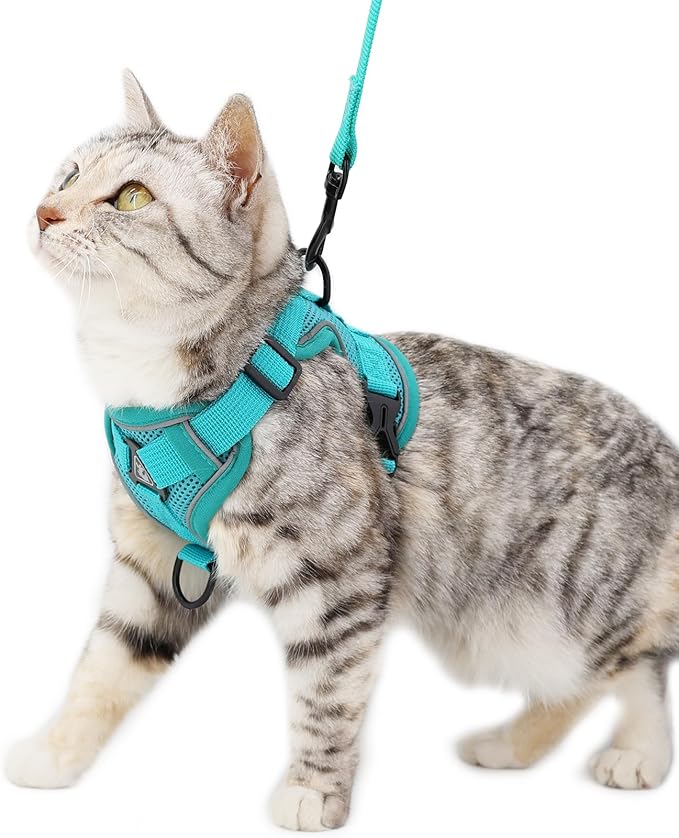 Cat Harness and Leash Set Escape Proof Tactical Small Kitten Harness Emotional Support Cat Vest, Turquoise, S