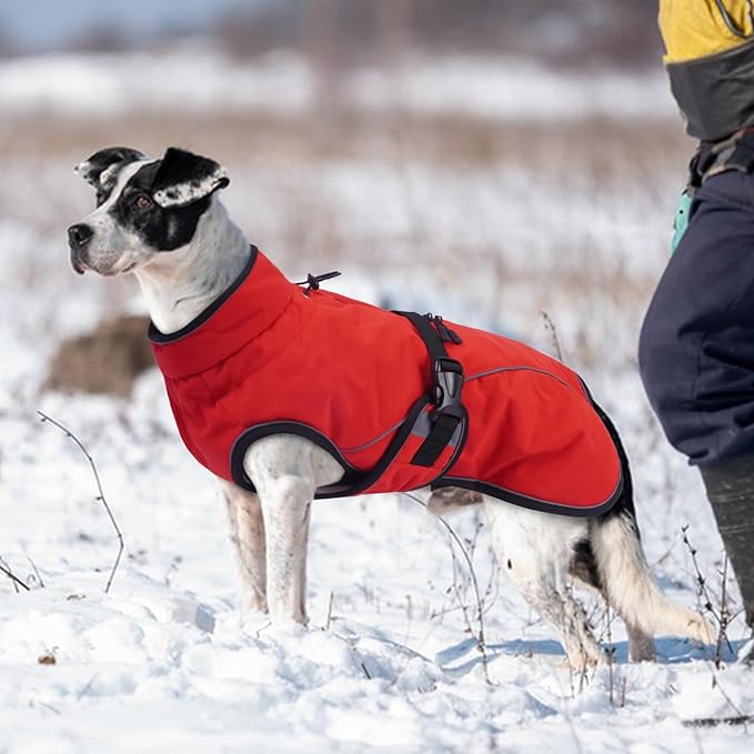 Warm Dog Coat for Winter,Waterproof Jacket with Zipper,Detachable Dog Coat with Adjustable Buckle,Comfortable Jacket for Dogs in Cold and Windy Days.XS Red