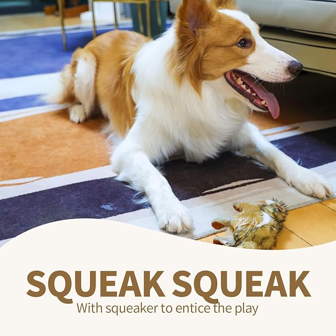 ALL FOR PAWS Squirrel Squeaky Doy Toy, Squirrel Dog Toy for Small Medium Breed, Puppy Fetch Toy with Squeaker, Plush Chew Dog Toy, 5.9 x 4.3 x 2.8 inches, Classic-Chipmunk S