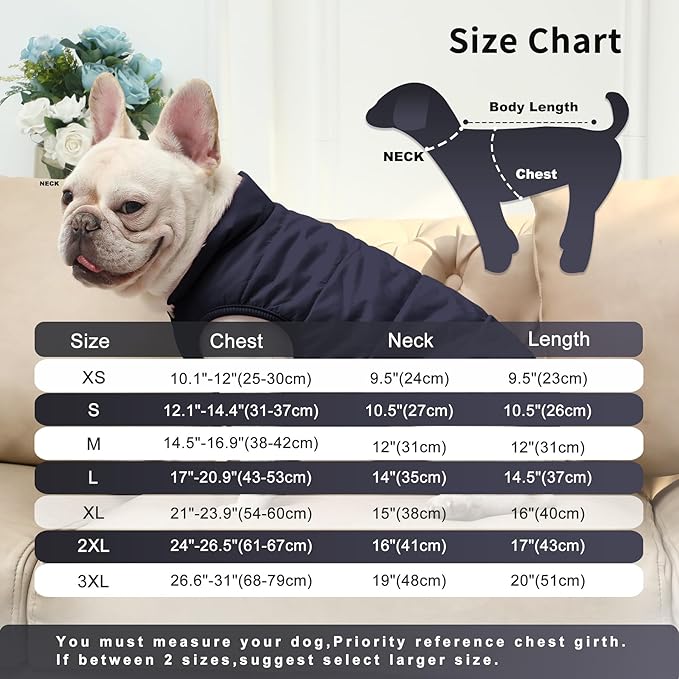 2 Layers Fleece Lined Warm Dog Jacket for Winter Cold Weather,Soft Windproof Medium Dog Coat,Blue XL