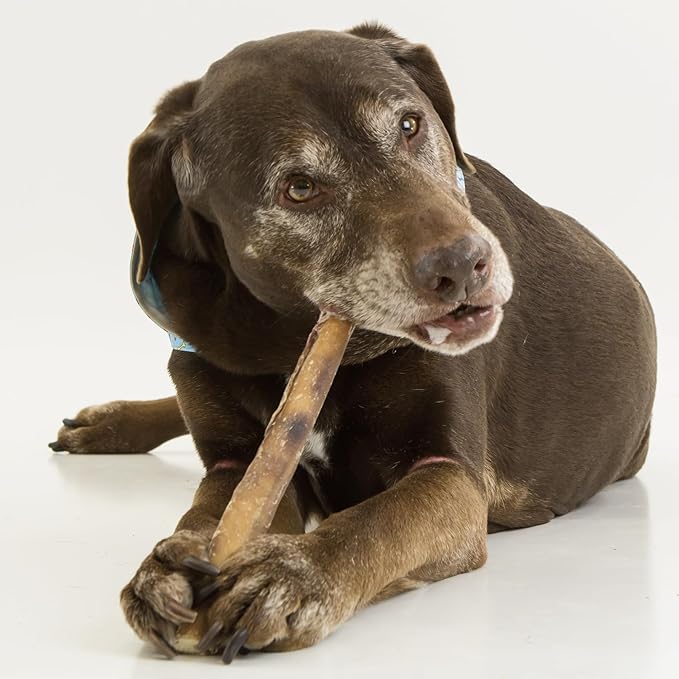 Best Bully Sticks Natural Jumbo Bully Sticks for Large Dogs - 12 Inch, 4 Count (Pack of 1) - 100% Free-Range Grass-Fed Beef, Single-Ingredient, Grain and Rawhide Free Long Lasting Dog Chews