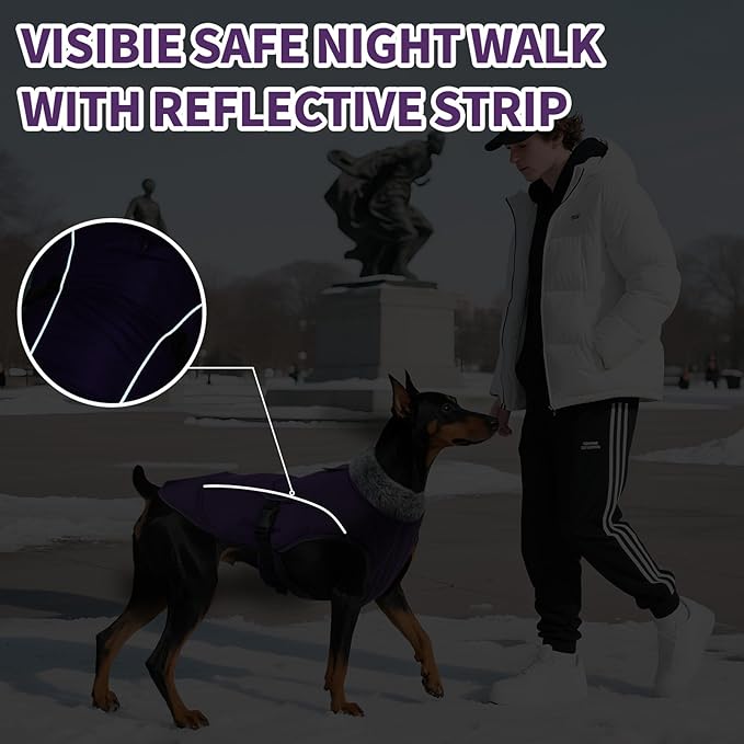 DENTRUN Medium Dog Winter Jacket - Warm Reflective Windproof Coat, Adjustable Neck & Snap Closure, Water Repellent Thick Fleece Vest, Fleece Lined for Beagle Pug, Purple, M