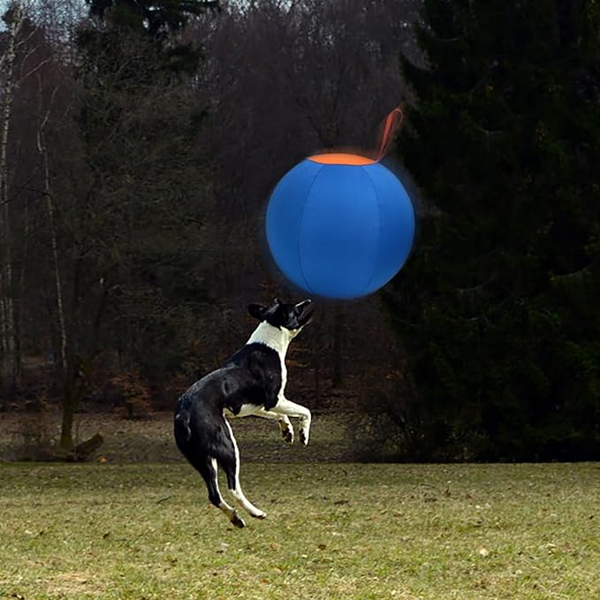 Dog Herding Ball for Dogs & Puppies, Toy Balls for Cattle, Australian Shepherd, Non-Chewing Activities, Large Dog Toy | Oxford Fabric Cover, Pump, with Patch Repair Kit (22 inch)