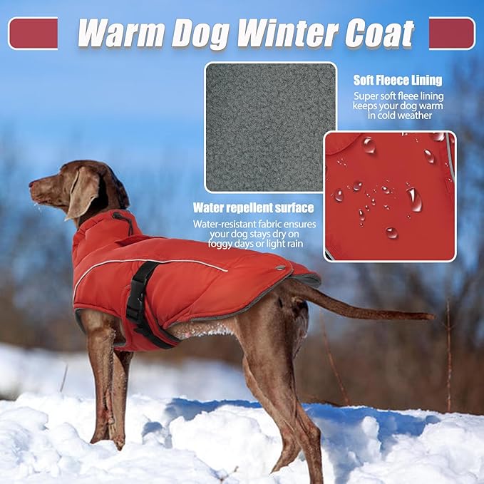 DENTRUN Dog Winter Coat - Windproof Reflective Jacket, Plush Turtleneck & Adjustable Belt, Water Repellent Fleece Lined Cold Weather Vest for Corgi Bulldog, Red, L